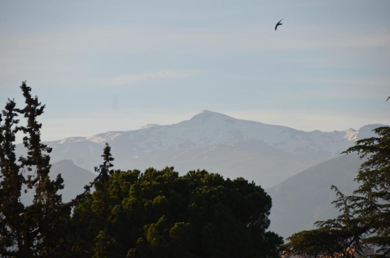 La Corrala Del Realejo Aparthotel Granada Exteriör bild